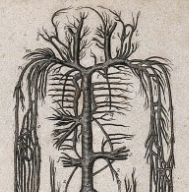 Leuven Centre for Health Humanities